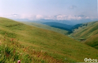 ���� �.�. ������.
�������� �������� ���� ����������� �� ������� � ��� � �� ������ � ������� �. �����.